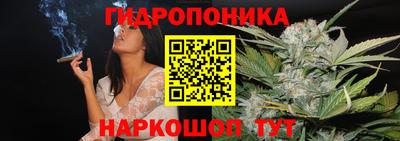 мяу мяу кристалл Тверь