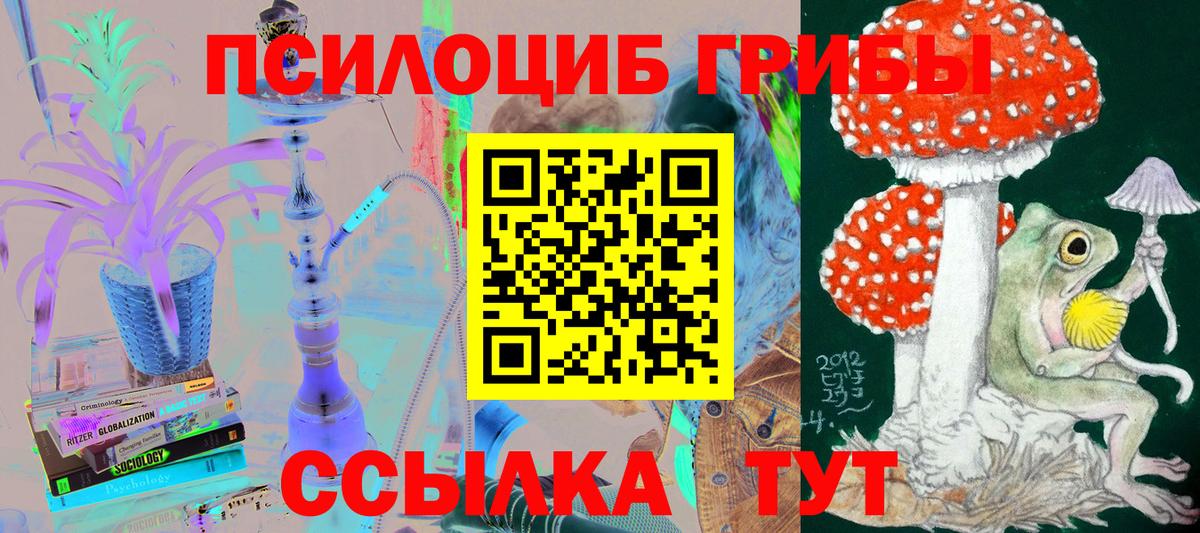 Вятские Поляны  Галлюциногенные грибы мухоморы  Вход с VPN  Галлюциногенные грибы Psilocybine cubensis 